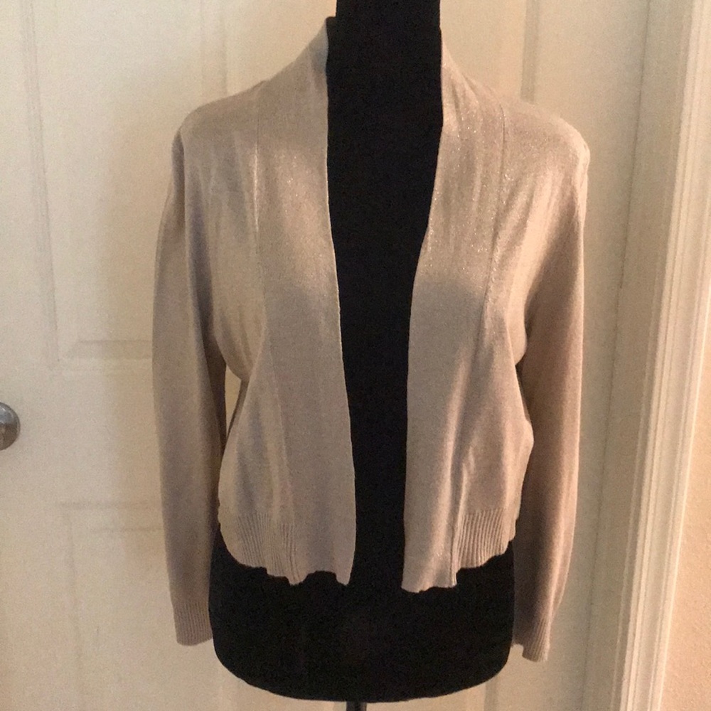 Ladies sweater